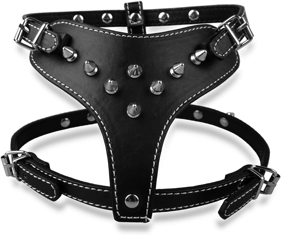 spiked cat harness