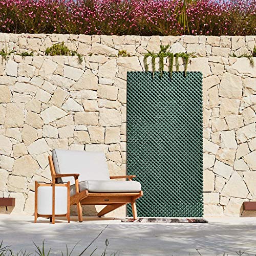 Celosias Catral Celosia Lop 1x2 Verde