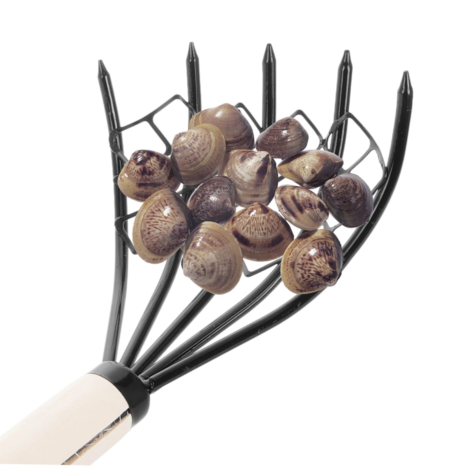 2 Stück Handrechen mit Griff Meeresgrabwerkzeug zum Muscheln und Meeresfrüchte Graben Robustes Eisen Material Leicht Rutschfester Griff für Strand und Garten