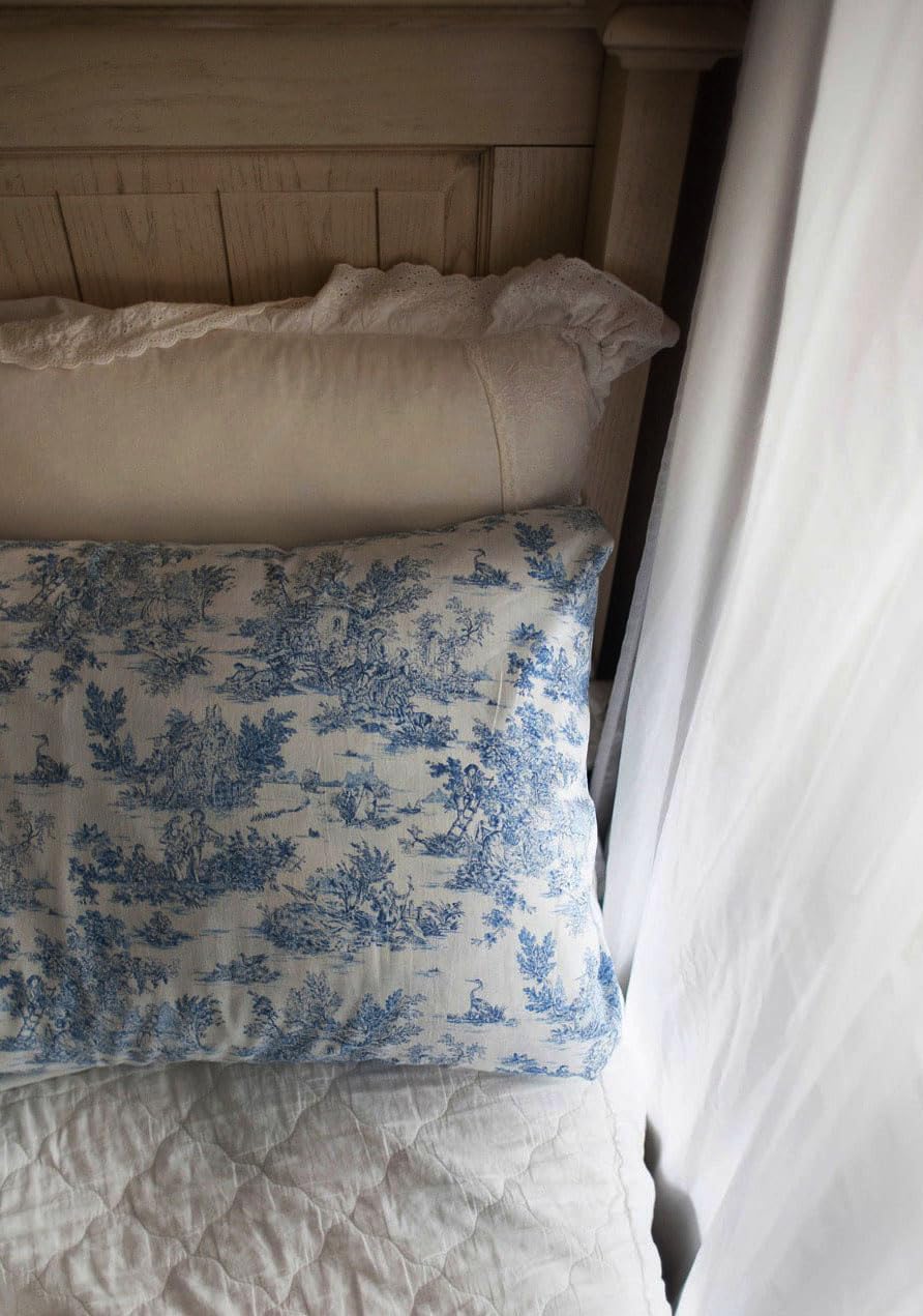 Amazon | フランス田園風景 アンティークトワルドジュイ ブルー