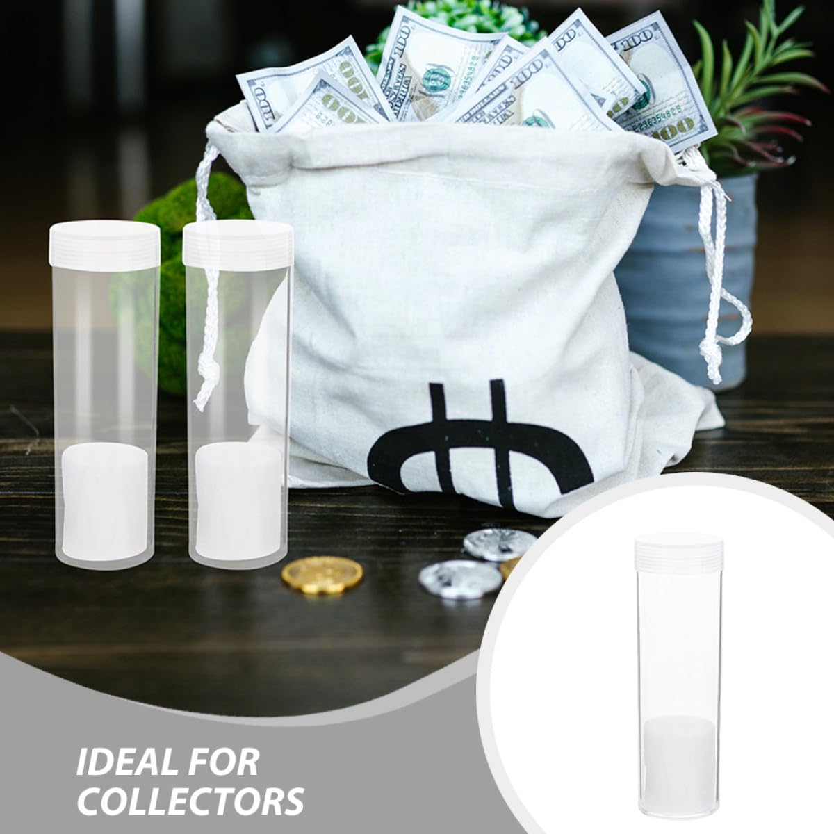 Housoutil Tubos Transparentes para Monedas 31 MM con Espuma Protectora Caja Redonda de Plástico Resistente al Agua Set de 20 Unidades para Almacenamiento y Coleccionismo Seguro