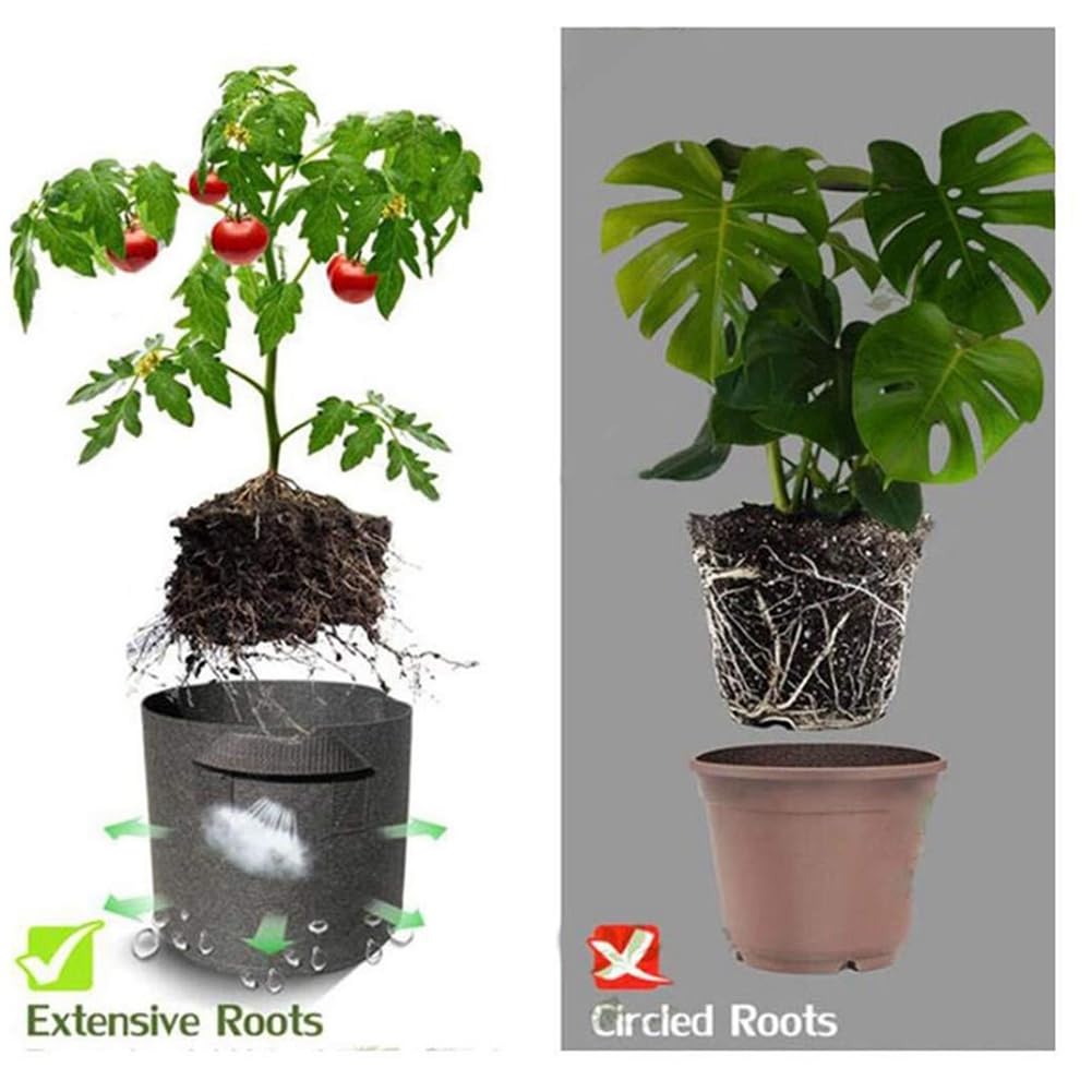 Les Pots de Semis Cultivent des de 30 Pcs 5pcs Tissu avec des Poignées Plantation D'