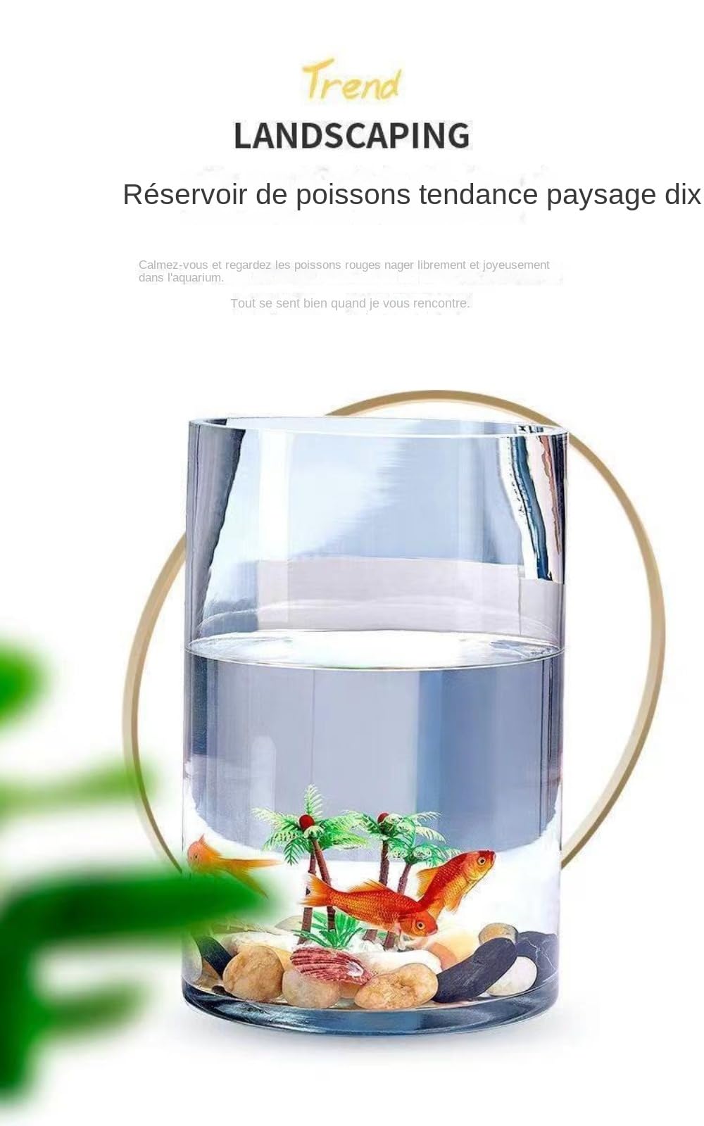 Acuario de Cristal Transparente, Pequeño Ecológico, Grande cilíndrico para Tortugas, accesorios, for Peces Rojos,Acuario Recto de Vidrio Cilíndrico Transparente
