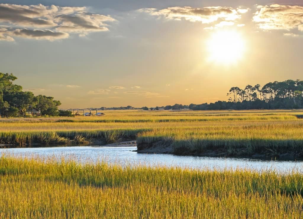 Noah Jigsaw Puzzle South Carolina Salt Marsh Sunset 1000 Pieces