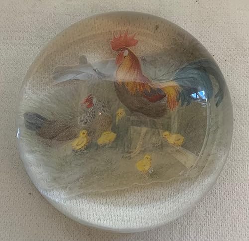 Miniatura 4 de Pisapapeles de vidrio redondo (pollos)