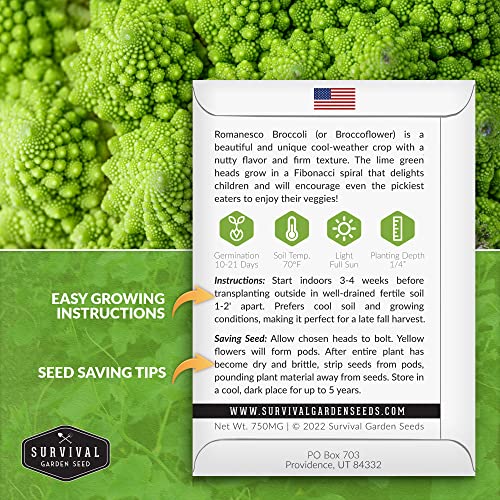 Survival Garden Seeds - Romanesco Broccoli For Planting - Packet With Instructions To Plant And Grow Delicious & Beautiful Fractal Broccoli Heads Your Home Vegetable Garden - Non-Gmo Heirloom Variety #TOP1