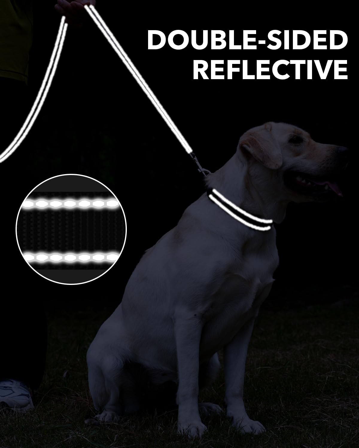 Taglory Guinzaglio per Cani Riflettente con Manico Imbottito e Gancio in Metallo, Nylon Resistente Addestramento Cane Guinzaglio, 1.2 m x 2.5 cm, Nero