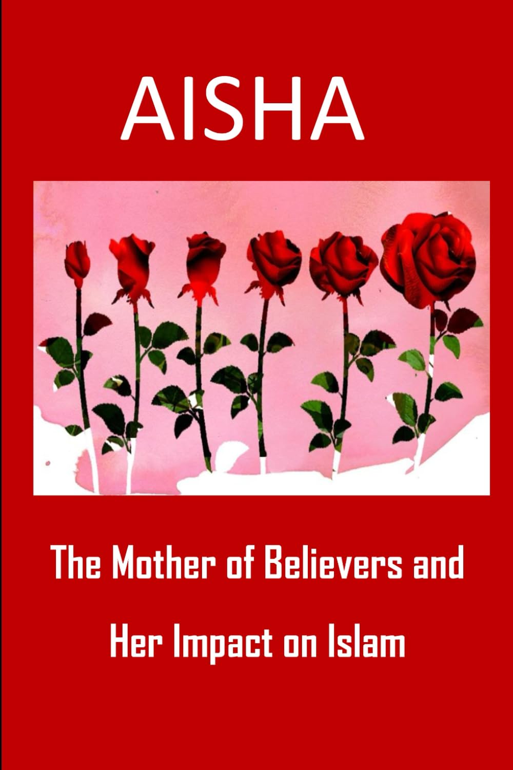 Aisha: The Mother of Believers and Her Impact on Islam