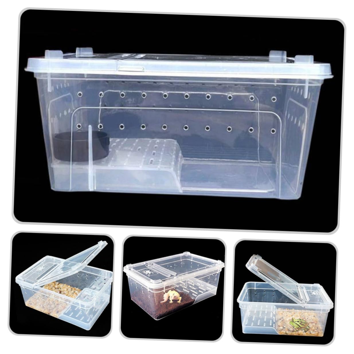 Homoyoyo Acquaterrario per Tartarughe per Rettili e Tartarughe e Pendenza Adatta Facile Osservazione in Plastica con Piattaforma, Area di Riposo e Alimentazione