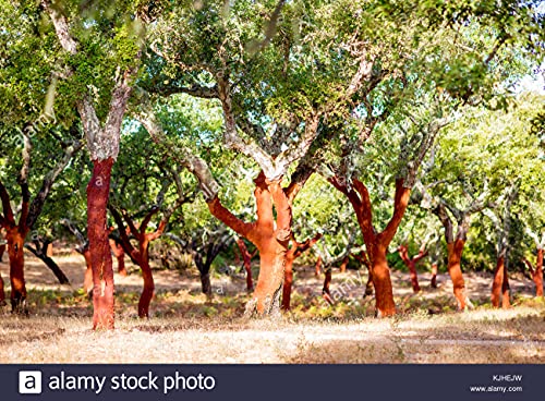 Mirabolante Portogese - Zaino, zaino da donna, per...