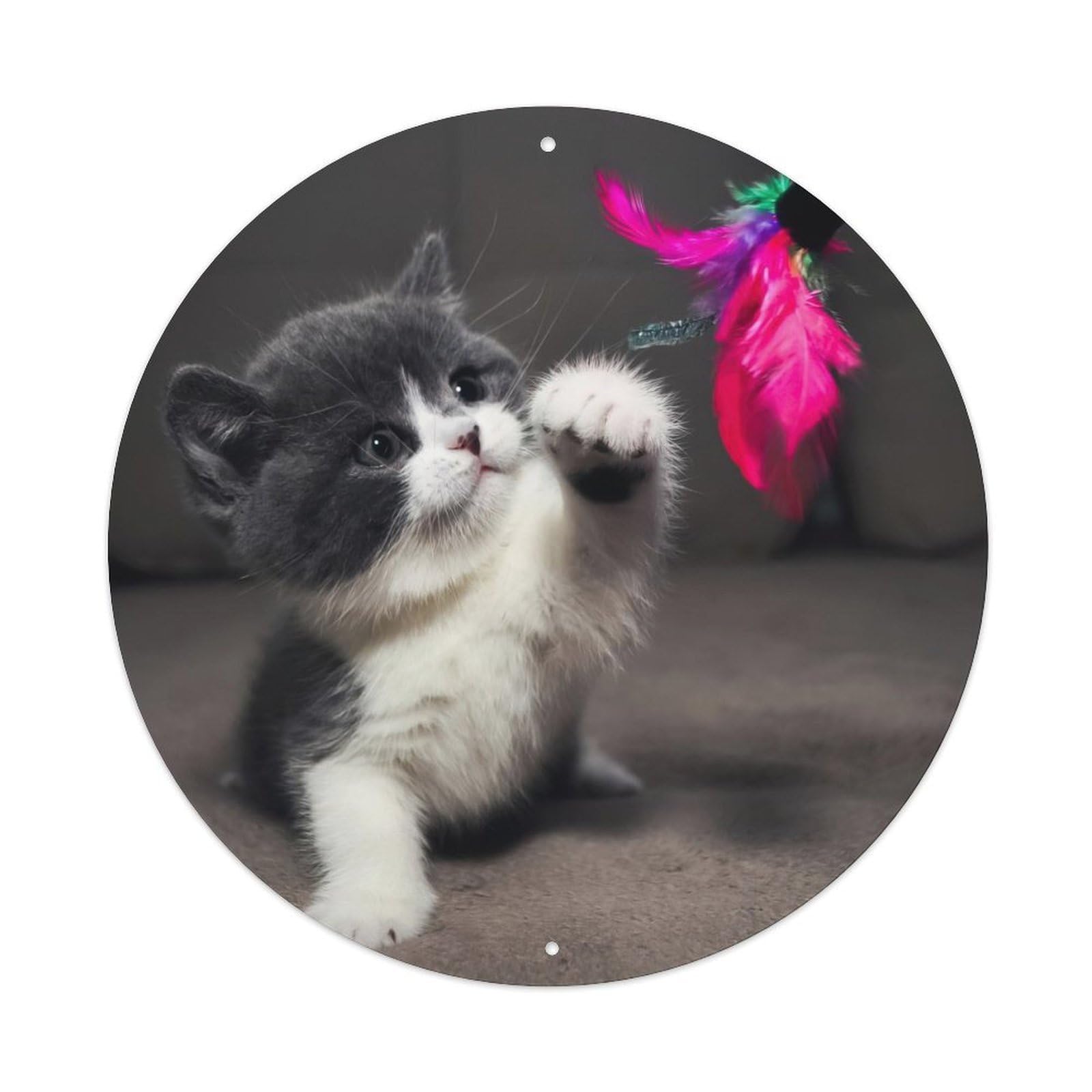 Cwbufd Vintage Style Animal Playful Kitten With Vibrant Feather Toy British Shorthair In Action Cozy Living Room Vintage Metal Tin Sign Plaque Wall Decor For Cafe, Club Bar, Office, Garden Metal Poster 8X8inch