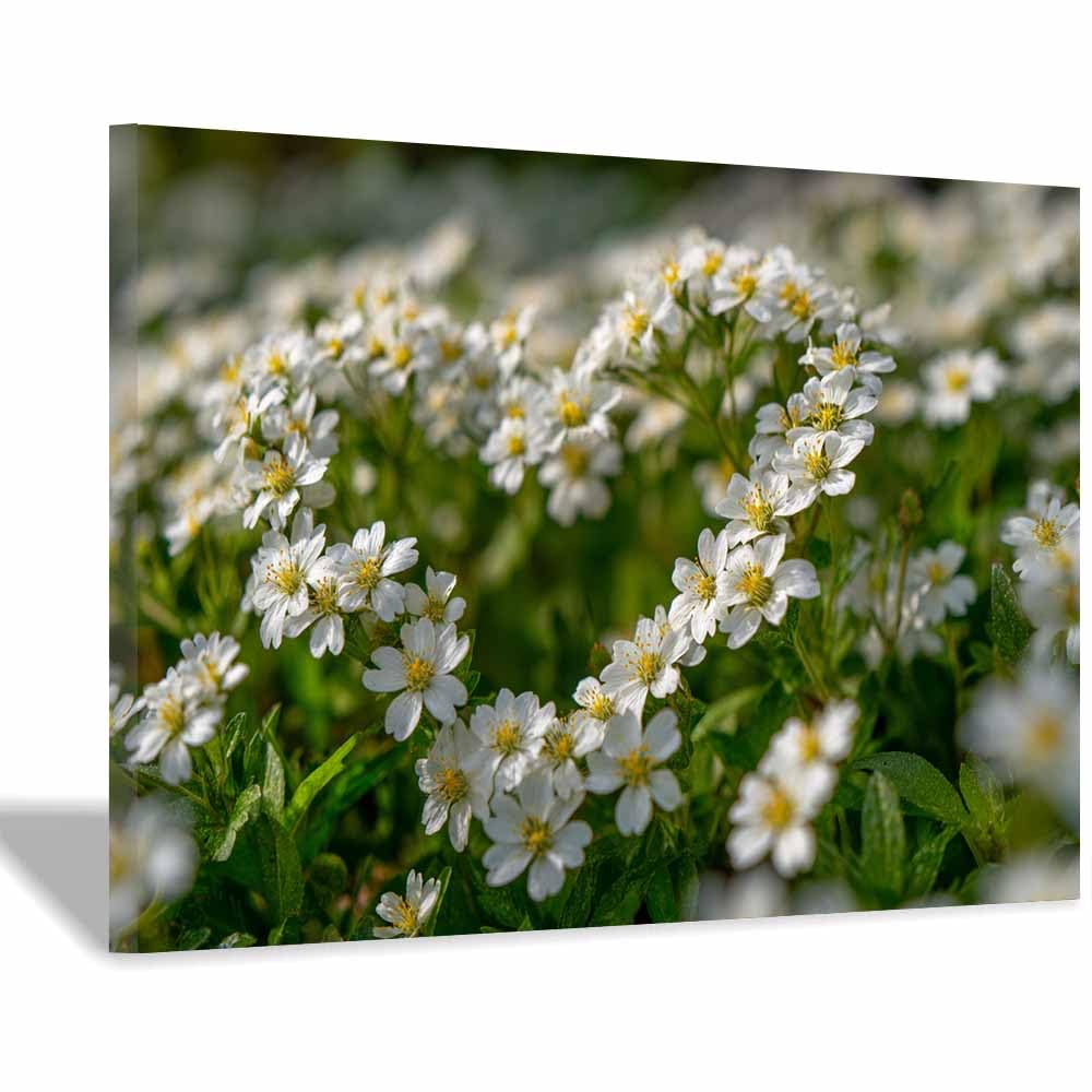 ZAMAEIU Nature Landscape Canvas Wall Art Clustered flowers posters picture, Modern Wall Decor, for Bedroom, Office, Living Room, Corridor, classroom(white)-50x70cm Framed