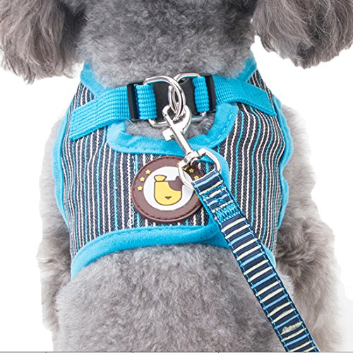 Hunde Geschirr Bowknot Brustgeschirre Air Mesh Harness Vest für Kleine, Mittelgroße Hunde Welpengeschirr mit 1.2M Hundeleine Katzen Walking Leine Hundegeschirr und Pet Leash (M, blau) Cover