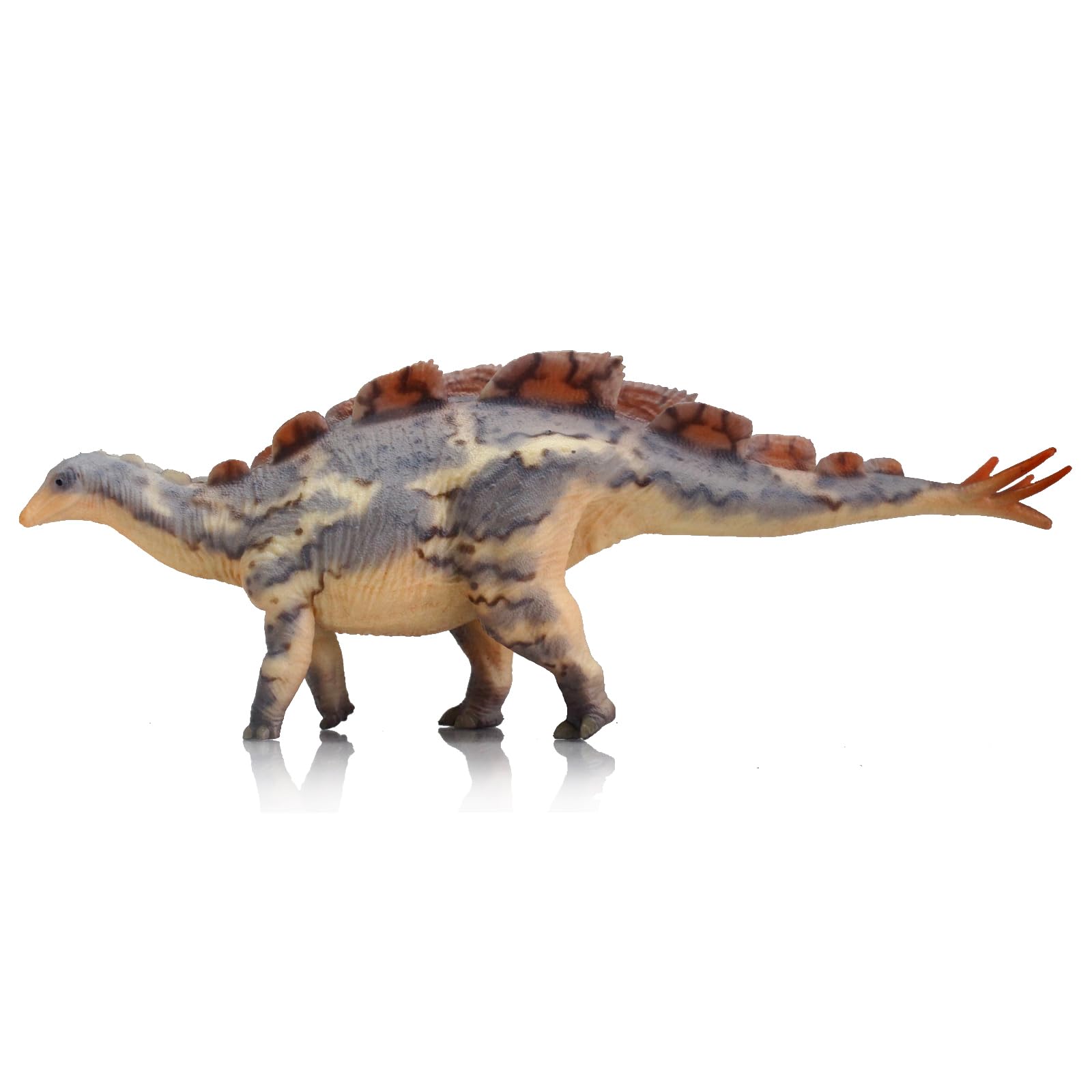 Wuerhosaurus (JiaoTin)-picture-23