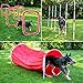 Sport PET Designs Agility Training for Dogs - Affordable Training Kit for Dogs, red (CM-10026-CS01)