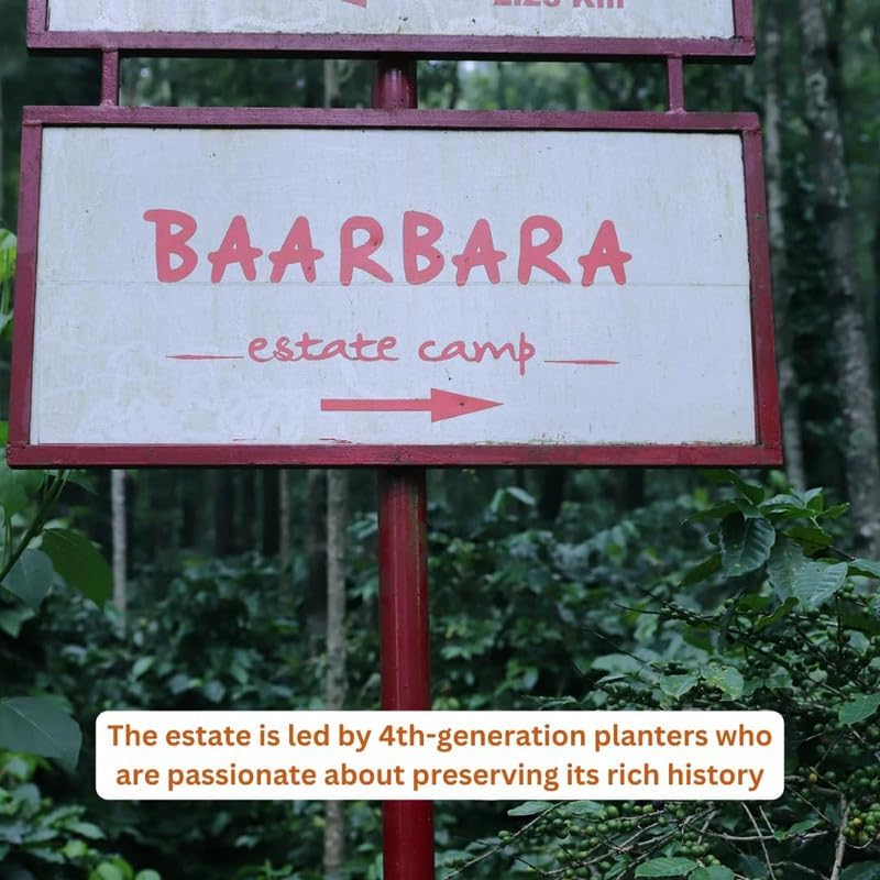 Image of Toffee Coffee Roasters | Baarbara Estate Coffee | Single Origin Arabica Light to Medium Roast, Notes: Dry Almond, Coco and Honey, Grind: Whole Beans, Freshly Roasted- 250 gms