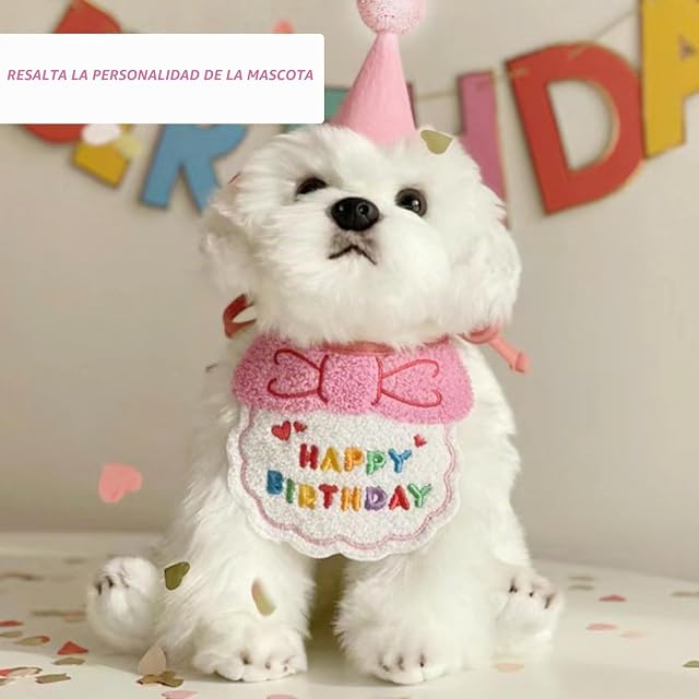 Foto 5 de 6 de 1 Babero, 1 Gorro de Cumpleaños, 2 Horquillas con Lazo, Gorro de Cumpleaños para Cachorros y Gatitos, Bufanda