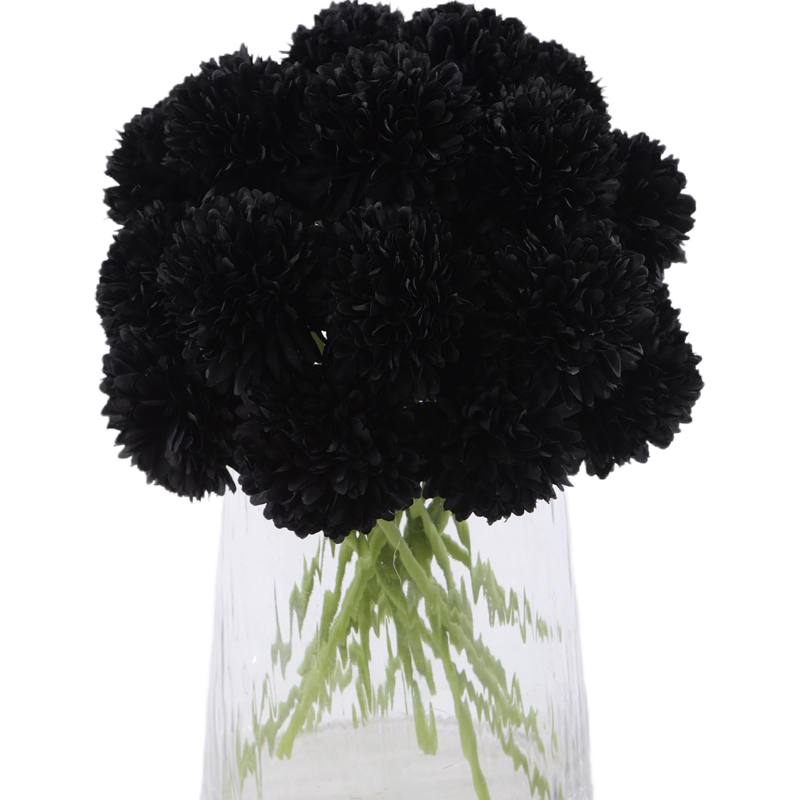 Kimura's Cabin Black Chrysanthemum Balls
