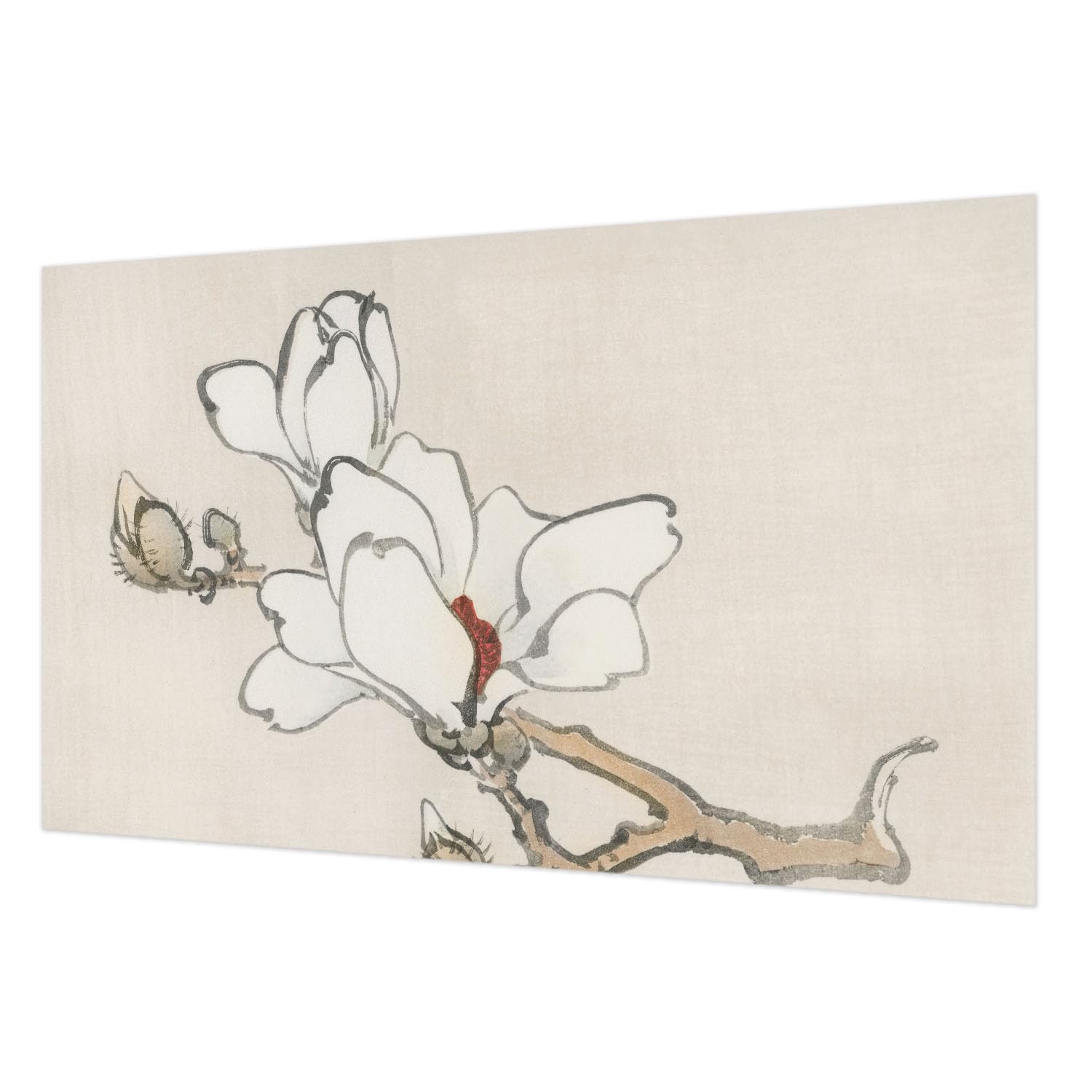 Décoration murale magnolias intissé 416x254 cm pour chambre et salon cosy