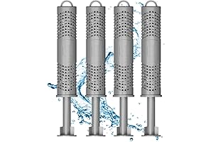 Essential Silver Ion Cartridge for Pristine Hot Springs Spas: A Shield Against...