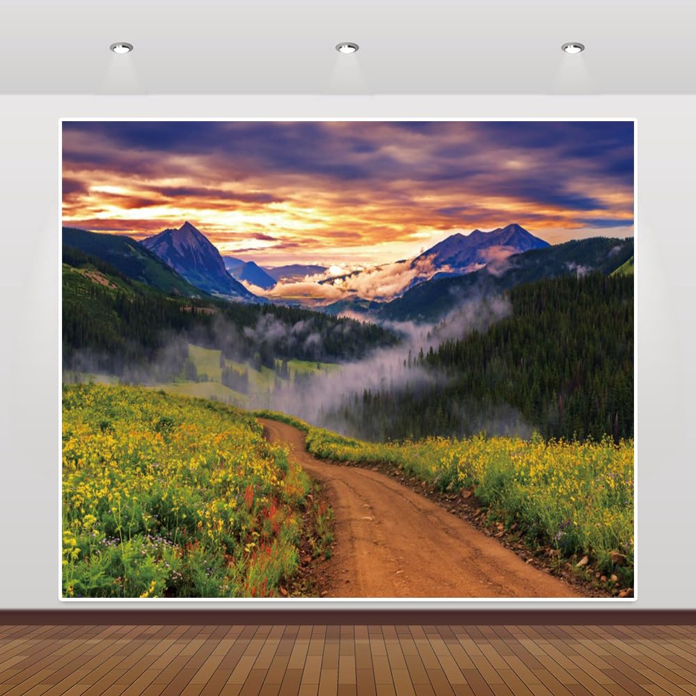 16.5x10ft Vinyl Mountain Path Backdrops for Photoshoot Nature Landscape Photography Backdrop Country Path Weed Sunrise Photo Backdrop Family Travel Birthday Party Background Decorations Photo Props