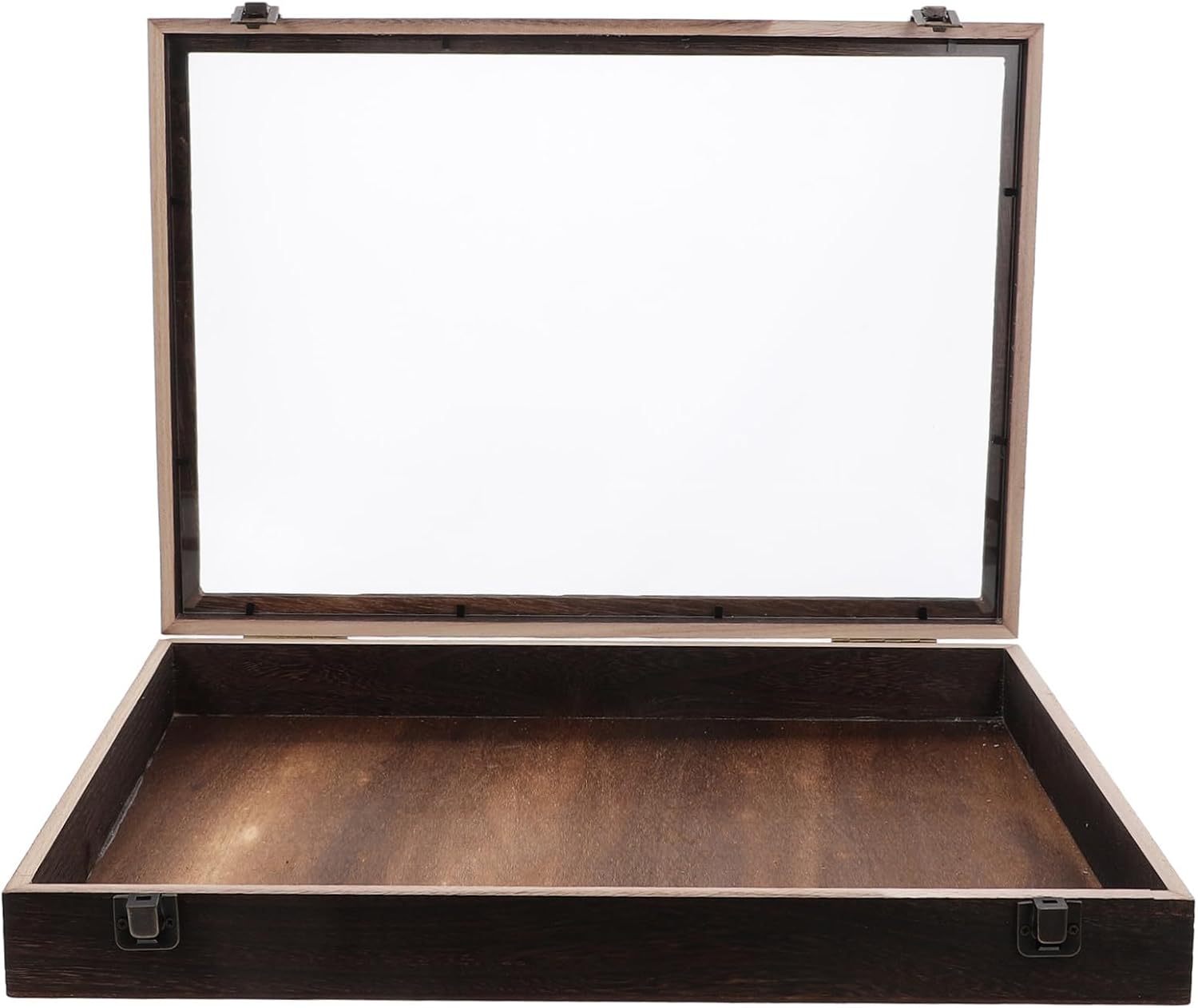 Cabilock Sturdy Specimen Display Case Dried Flower Display Box Butterfly Collection Insect Showcase
