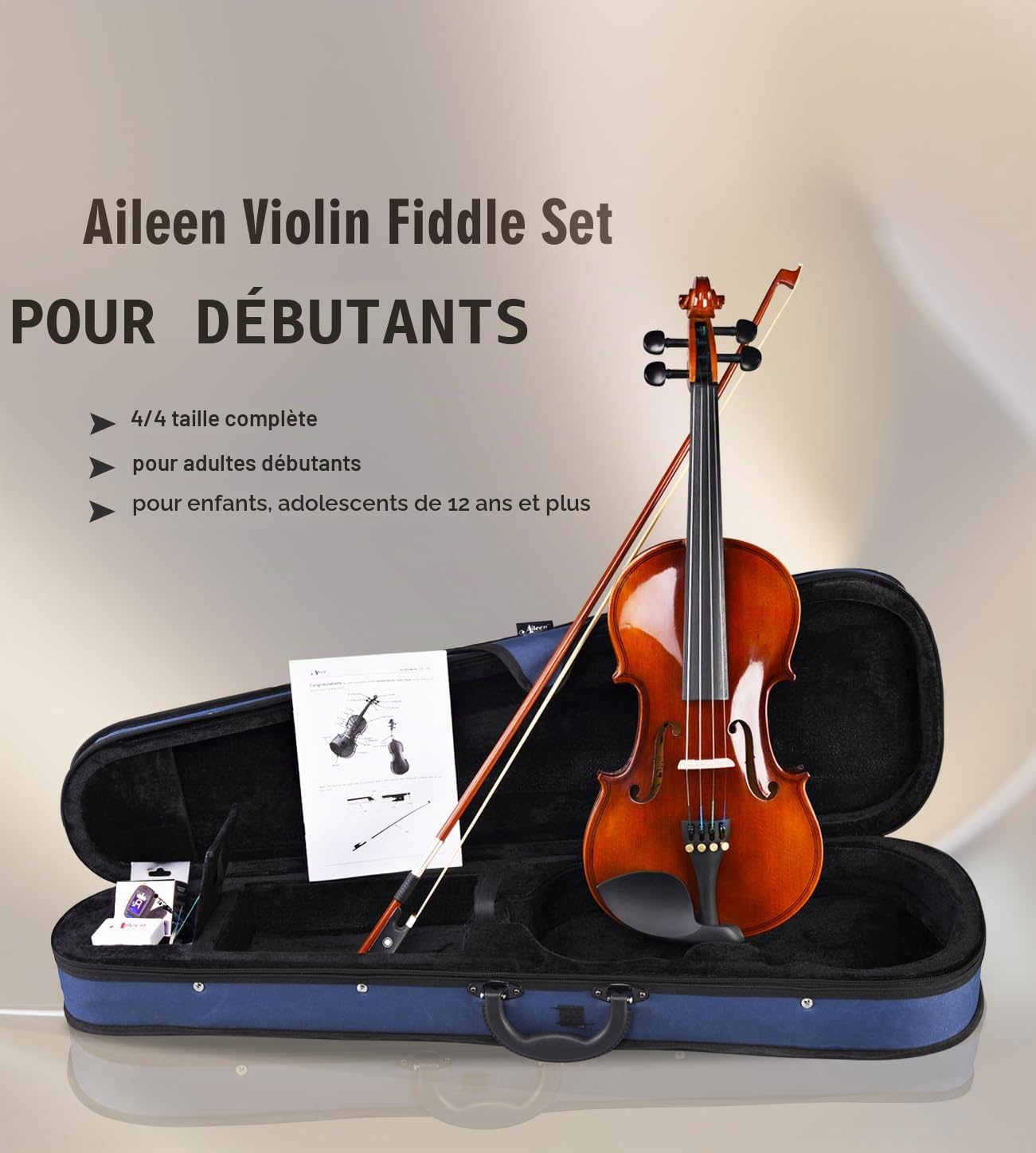 Violon 4/4 Adulte Aileen, Violon Débutant Aspect Antique Brillant