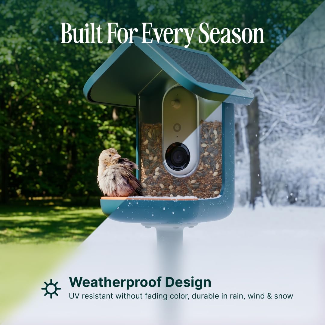 Bird Buddy Smart Bird Feeder Blue with Solar Panel 2.0