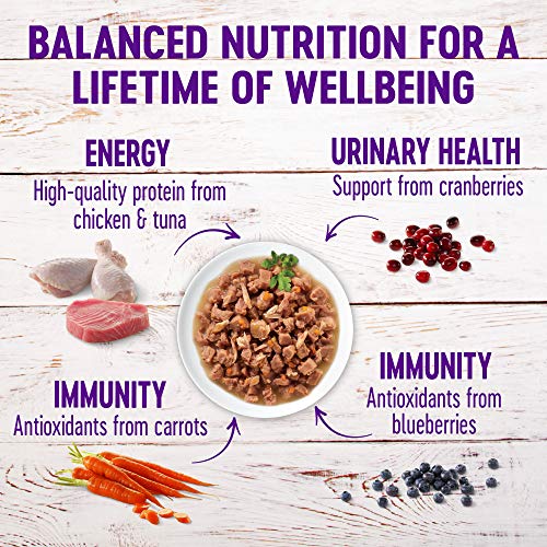Wellness Healthy Indulgence Gravies Variety Pack Adult Wet Cat Food, Natural, Protein Rich, Grain Free, 2 Flavors, 3 oz, Pack of 8 Pouches - image 3