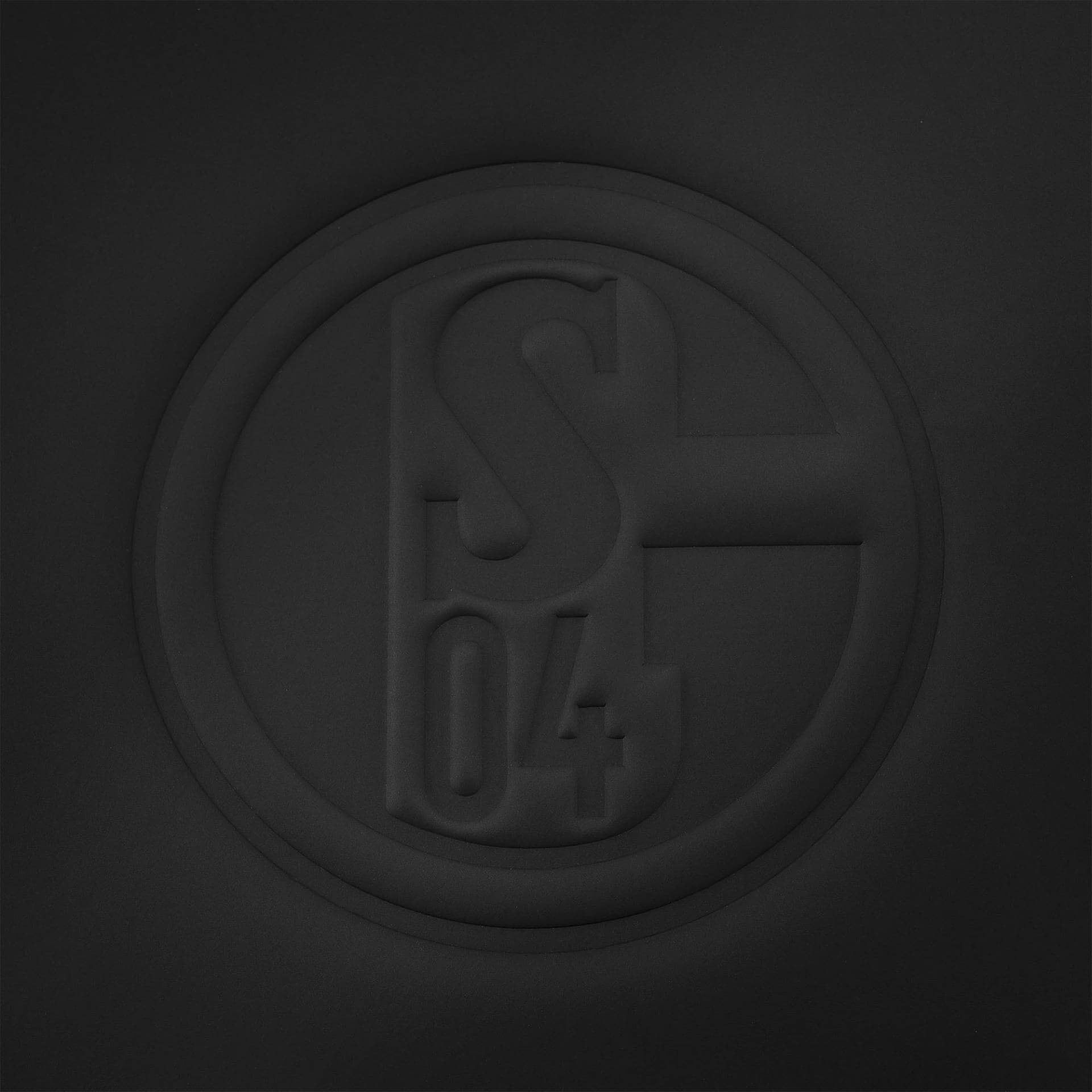 FC Schalke 04 S04 Rucksack Logo geprägt