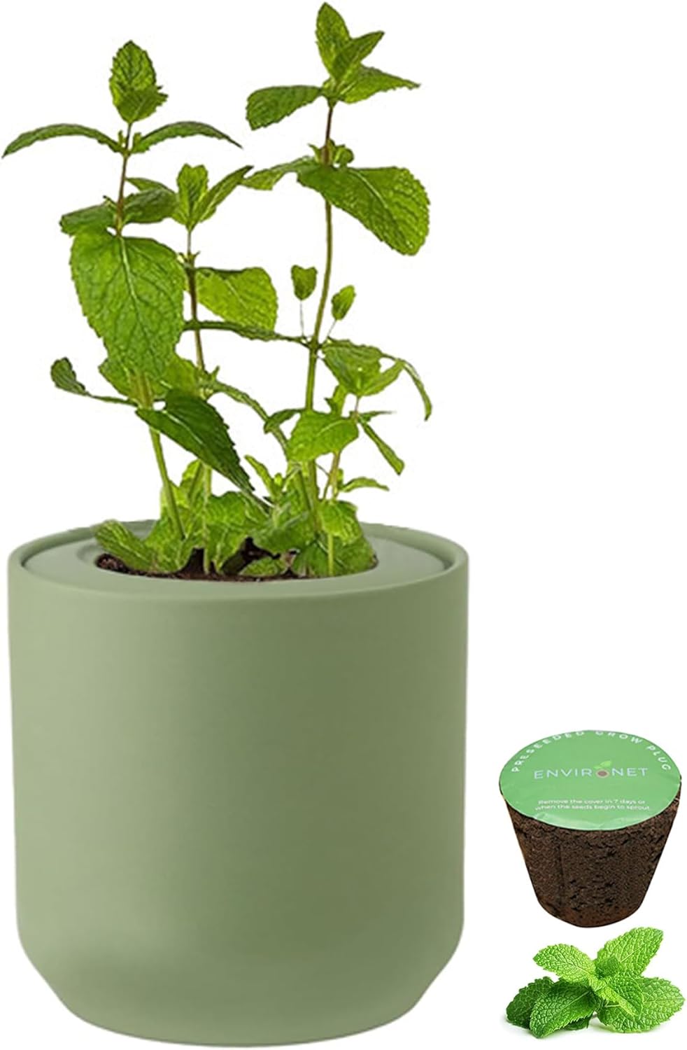 Hydroponic Herb Growing Kit, Self-Watering Kitchen Herb Garden Starter Kit with Green Ceramic Pot and Seeds (Mint)