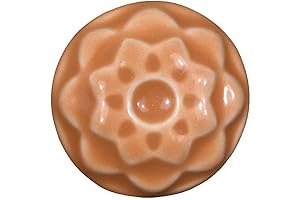 Amaco Celadon Glaze: Tangelo's Vibrant Hue Enchants Ceramics