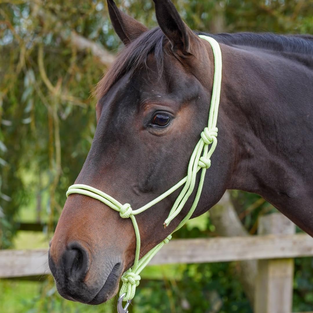 GS Equestrian Rope Halter for Horses – Lightweight, Easy Fit Headcollar – Multiple Sizes & Colours (Lime, Pony)