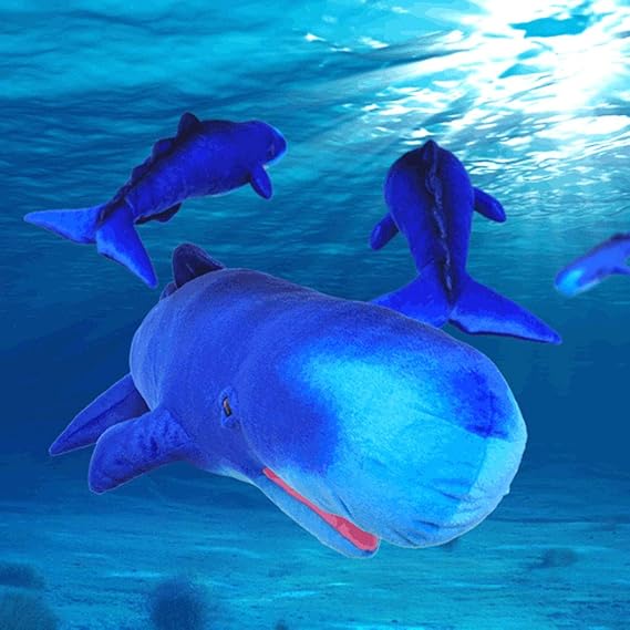 値引 イルカ子供 置物 動物 いるか 魚 Saleセール Electromedik Com Ar