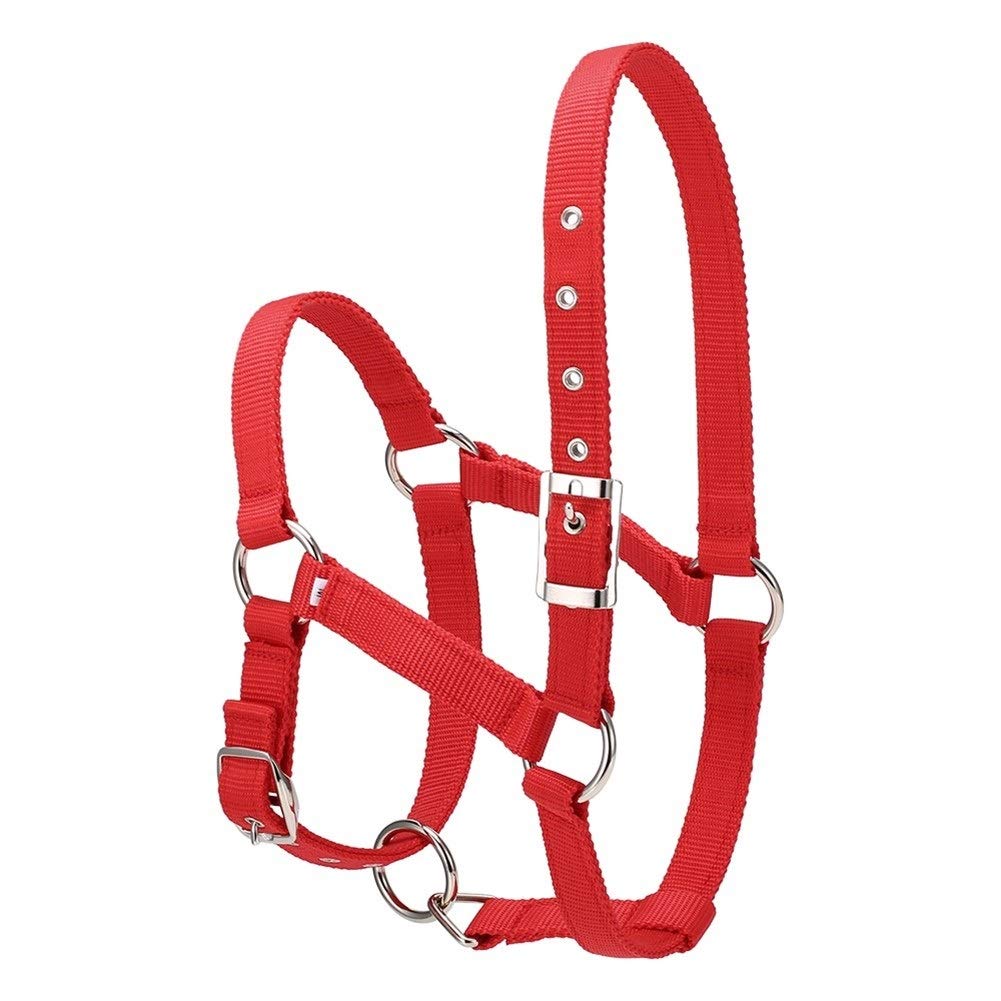 JINGBA S/M/L de 6 mm Collar Espesado de la Cabeza de Caballo Cuerda Ajustable Halter Brida de Seguridad ronzal Hípica Racing Equipo de Entrenamiento (Color : Red L)