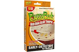 BuggyBeds®: Your Savior from Pesky Bed Bugs