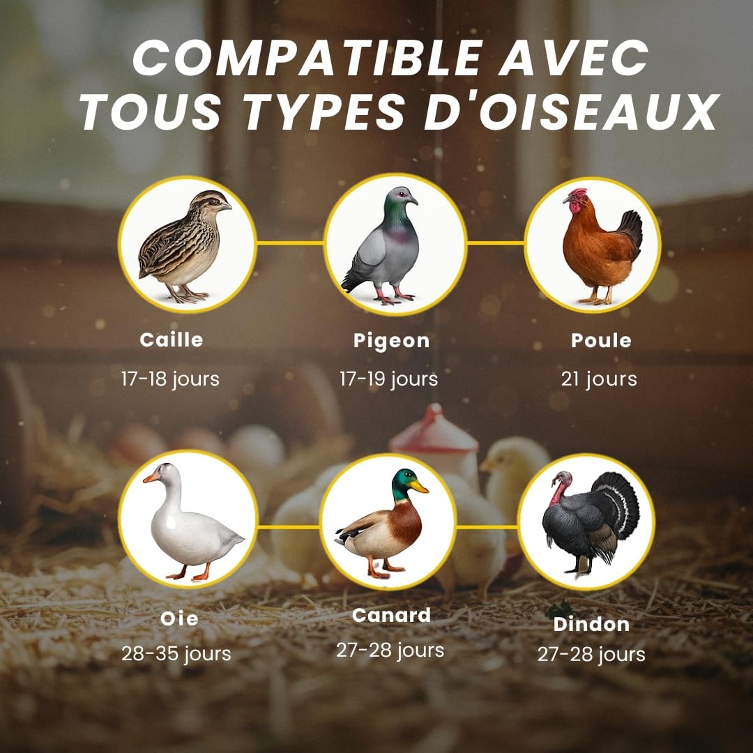 COUVEUSE ŒUFS AUTOMATIQUE pour tous types d’oiseaux | 12-16 œufs | contrôle température, humidité et retournement | calendrier, mangeoire, abreuvoir, guide | sans batterie, secteur 35W