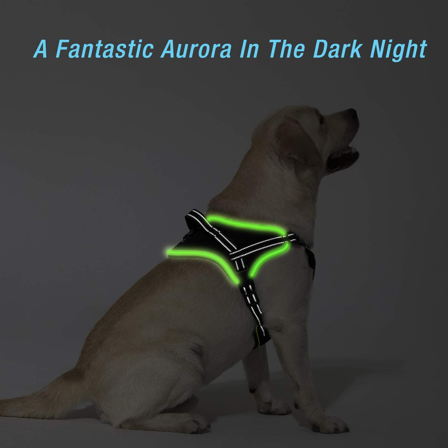 Golener Dog Harness No Pull, Reflective Puppy Harness with Led Light, Adjustable Dog Vest Harness, Soft Breathable Oxford Stylish Pet Harnesses with Easy Control Handle for Large Dogs(Black,XL)