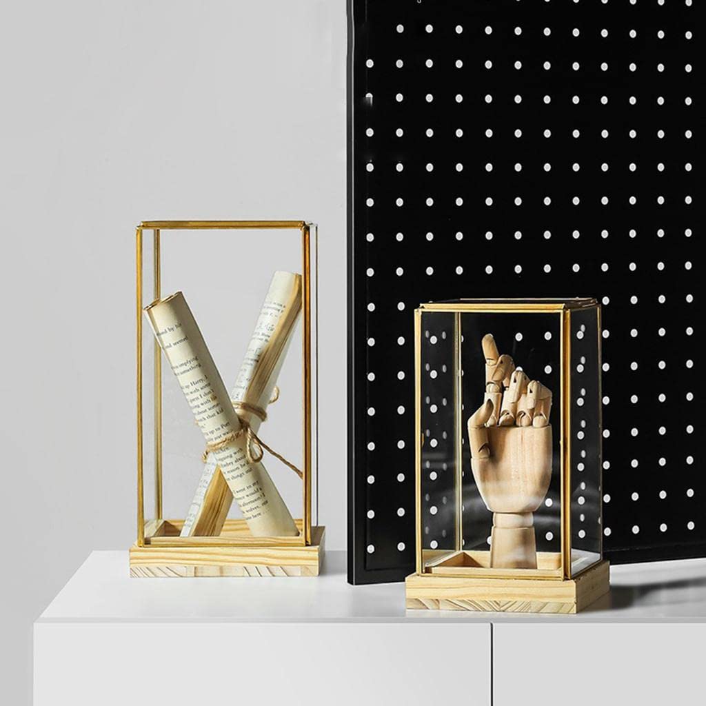 Amazon.co.jp: homozy ジェネリックガラスディスプレイケース 装飾防塵