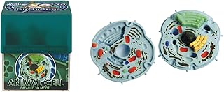 Ein-O Science BioSigns Animal Cell