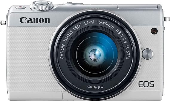 Panasonic Lumix DC-GH5S Mirrorless Micro Four Thirds Digital Camera with Extra Accessory Bundle