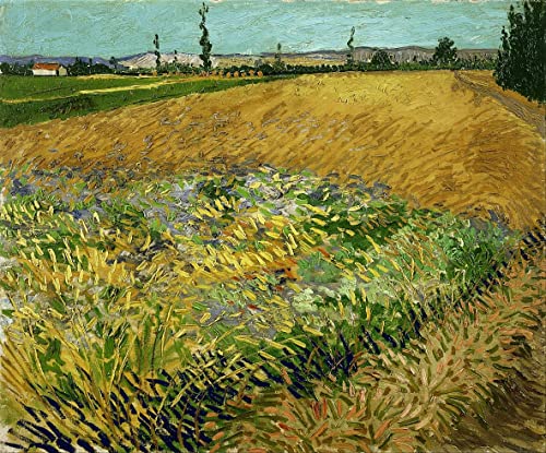 Toile Tableau Vintage Champ de blé de Vincent Van Gogh - Impression Décor Couloir