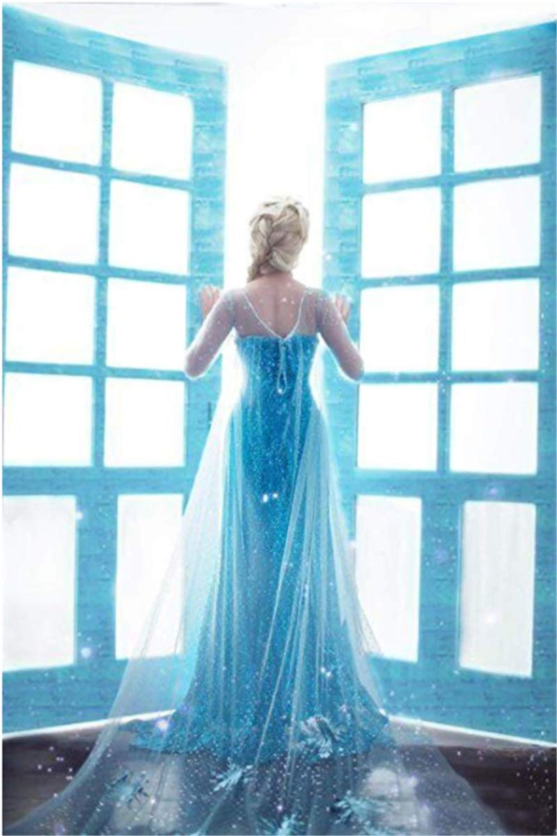 LOBTY Femme Robe Deguisement de Princesse Longueur De Plancher Encolure Ronde Sequin Robe Adulte Longue Robe De Soirée De Noël Halloween Robe De Fête Mardi Gras Carnaval Déguisement Cosplay Robe S-XXL
