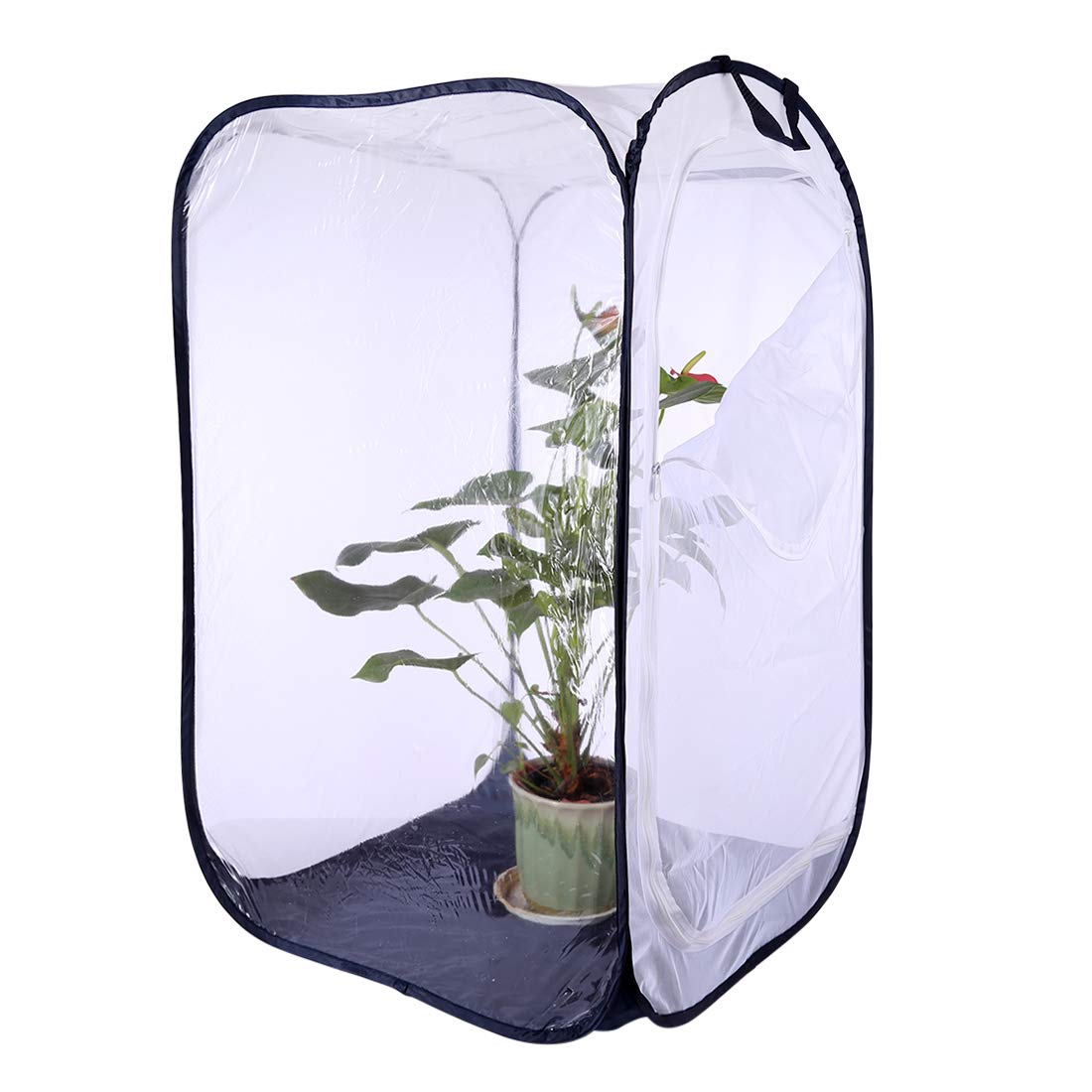 Gabbia Per Farfalle Pieghevole - Habitat Insetti 20x20x20 Cm Rete Trasparente