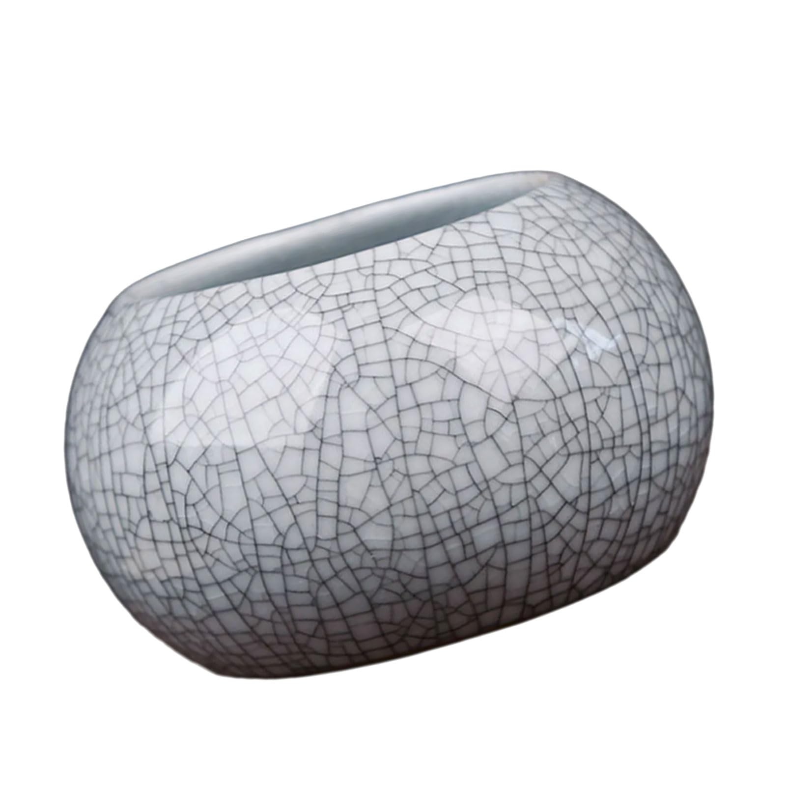 hogtnd Crackle Ceramic Planter for Hydroponic Coin Grass and Desk Decoration, Elegant Plant Container