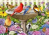 Ravensburger at The Birdbath 500 Piece Lrg FmtJigsaw Puzzle for Adults - Every Piece is Unique,...