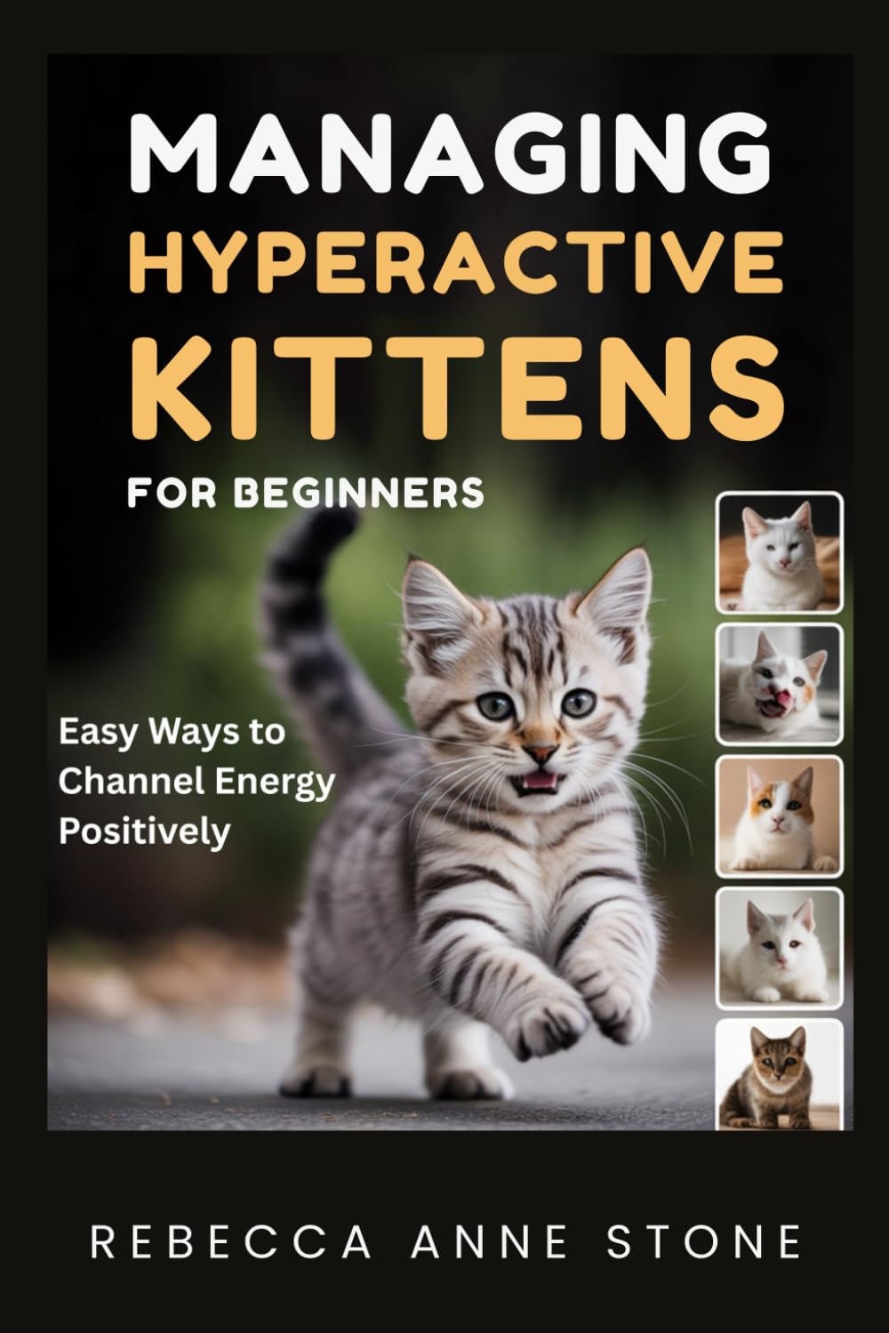 Managing Hyperactive Kittens for Beginners: Easy Ways to Channel Energy Positively