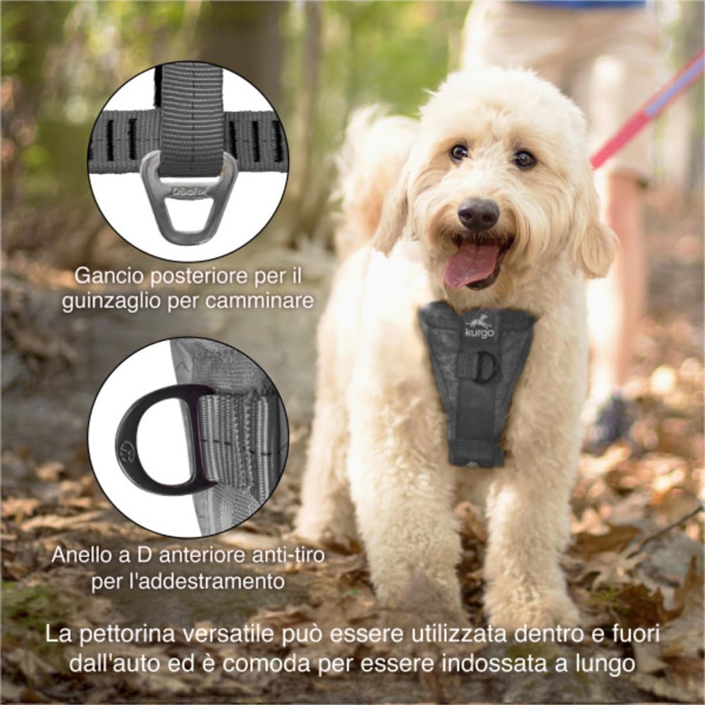 Kurgo Tru-Fit - Pettorina di Sicurezza per Auto per Cani con Regolazione a Cinque Punti e Fibbia di Sicurezza - Antracite - L