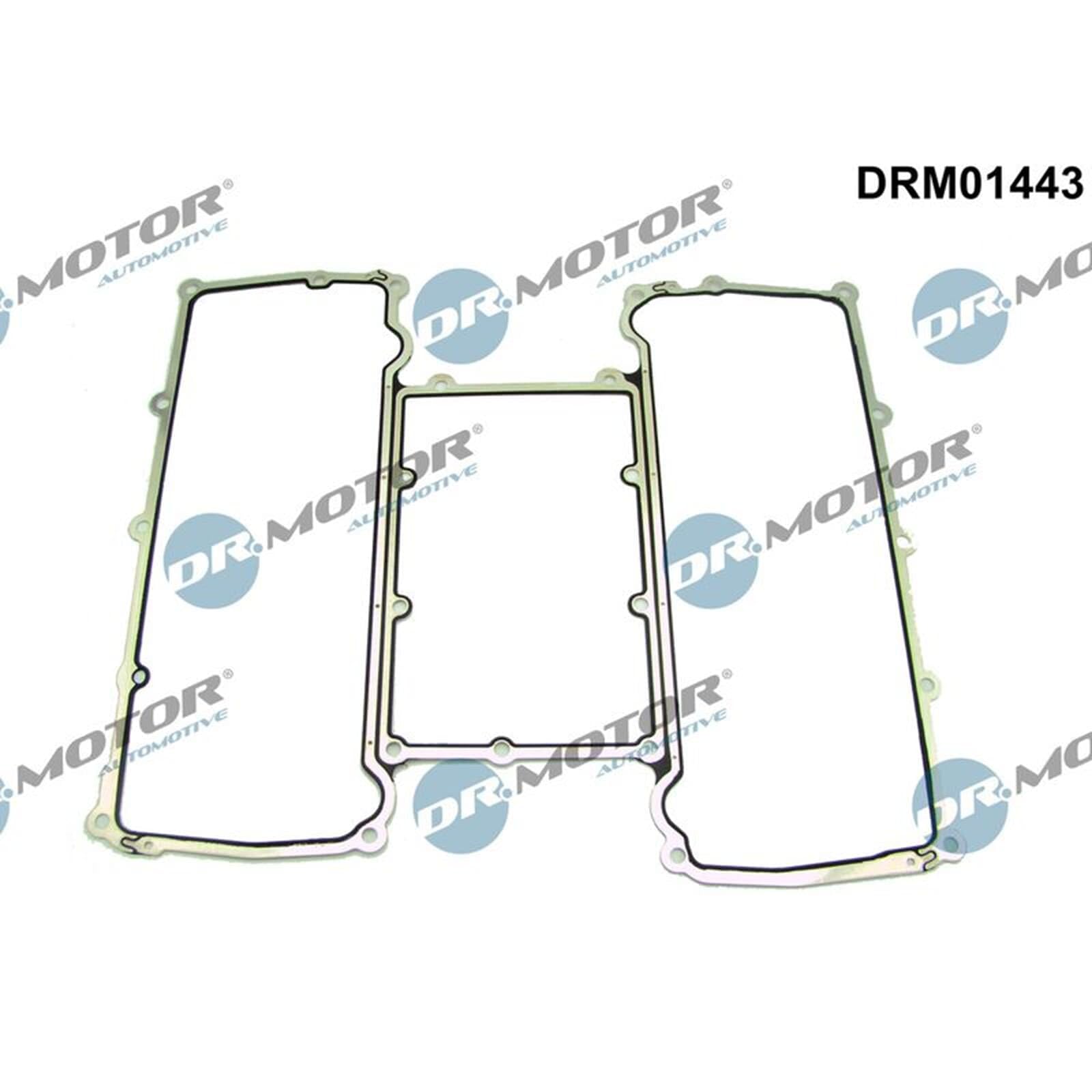 DR.MOTOR AUTOMOTIVE DRM01443 Junta colector de admisión Compatible con LAND ROVER Range Rover Sport L320, JAGUAR XF J05, CC9