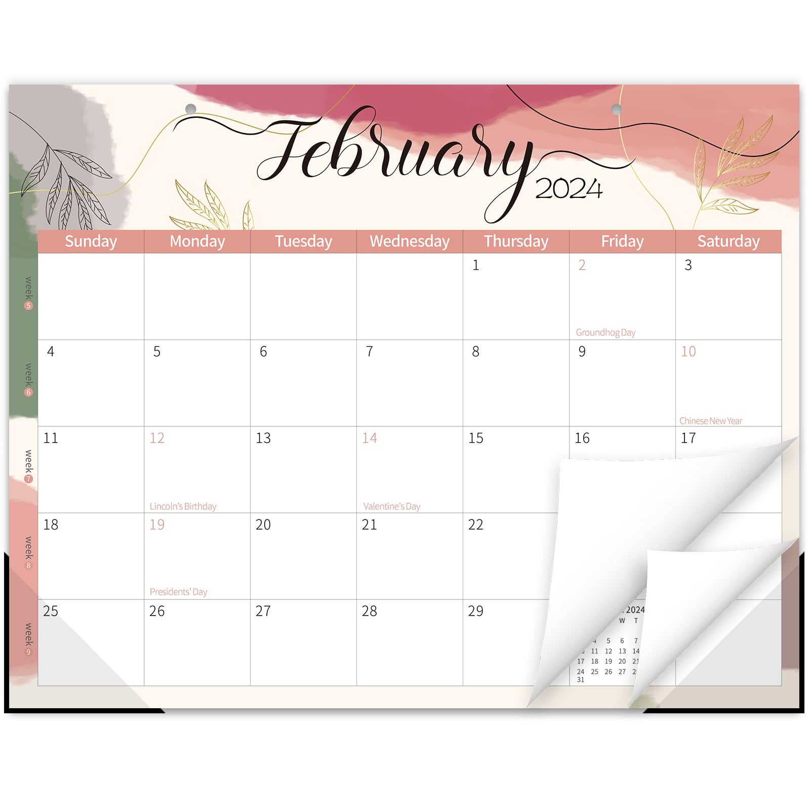Amazon.com : GuassLee Desk Calendar 2024-2025 - 18 Monthly Academic Calendar,  14” x 11”, Runs from Jan. 2024 to Jun. 2025 with Tear Off Design Corner  Protectors for Easy Planning Home School Office : Office Products